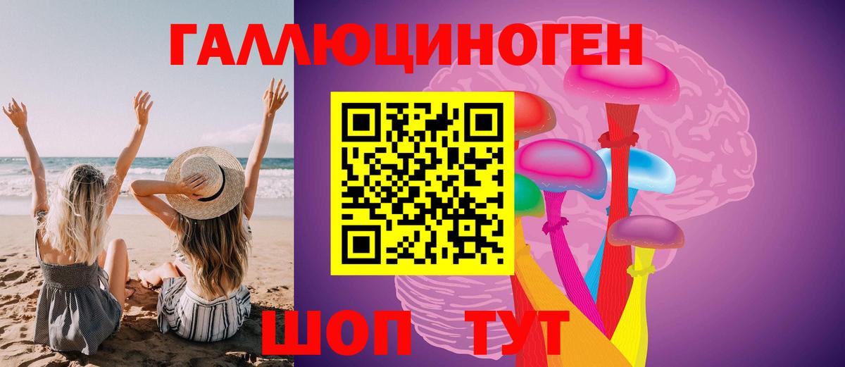 Орск  Галлюциногенные грибы MAGIC MUSHROOMS  Вход с VPN  где можно купить наркотик  Псилоцибиновые грибы мицелий 